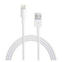 CDATAIP5 - Câble iPhone et iPad Lightning blanc 1 mètre prise USB