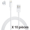 LOT10-APPLEMD818 - Lot de 10 Câbles USB origine Apple iPhone prise Lightning
