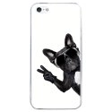 CRYSIPHONE5CCHIENVBLANC - Coque rigide transparente pour Apple iPhone 5C avec impression Motifs chien à lunettes sur fond bla
