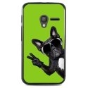 TPU1PIXI340CHIENVVERT - Coque Souple en gel noir pour Orange Rise-30 avec impression Motifs chien à lunettes sur fond vert