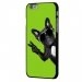 CPRN1IPHONE6CHIENVVERT - Coque noire iPhone 6 motif chien à lunettes sur fond vert