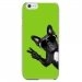 CRYSIP6PLUSCHIENVVERT - Coque rigide pour Apple iPhone 6 Plus avec impression Motifs chien à lunettes sur fond vert