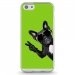TPU0IPHONE5CCHIENVVERT - Coque souple pour Apple iPhone 5C avec impression Motifs chien à lunettes sur fond vert