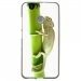 TPU1NOVACAMELEON - Coque souple pour Huawei Nova avec impression Motifs caméleon sur un bamboo